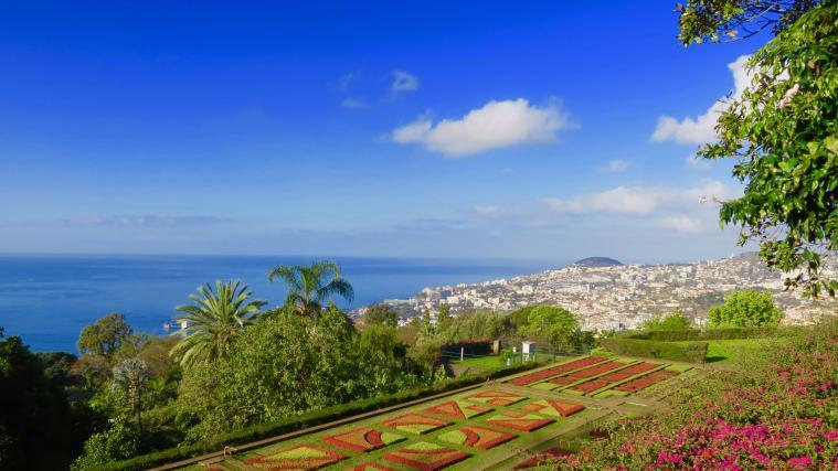 Vorne kunstvoll angeordnete Pflanzen, hinten der Atlantik und die Stadt Funchal: Das Parterre des Jardim Botânico da Madeira ist ein beliebtes Fotomotiv auf Madeira.