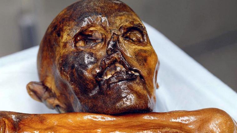 Wohin mit Ötzi?