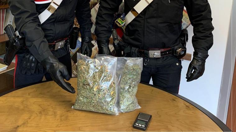 300 Gramm Marihuana beschlagnahmten die Carabinieri von Meran.