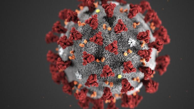 Woher kam das Coronavirus tatsächlich? Ganz klar scheint die Antwort auf diese Frage nicht zu sein.