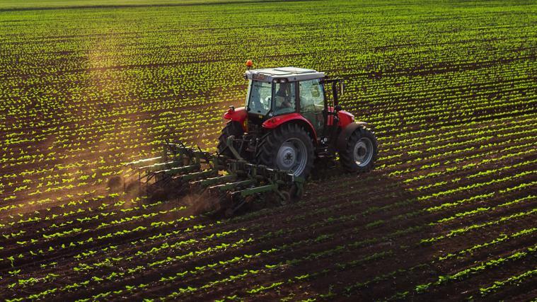 Alle 10 Jahre werden in Italien die Daten zur Entwicklung der landwirtschaftlichen Betriebe erhoben.