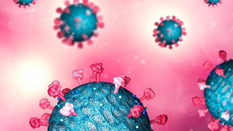 Das Coronavirus wütet derzeit in Indien.