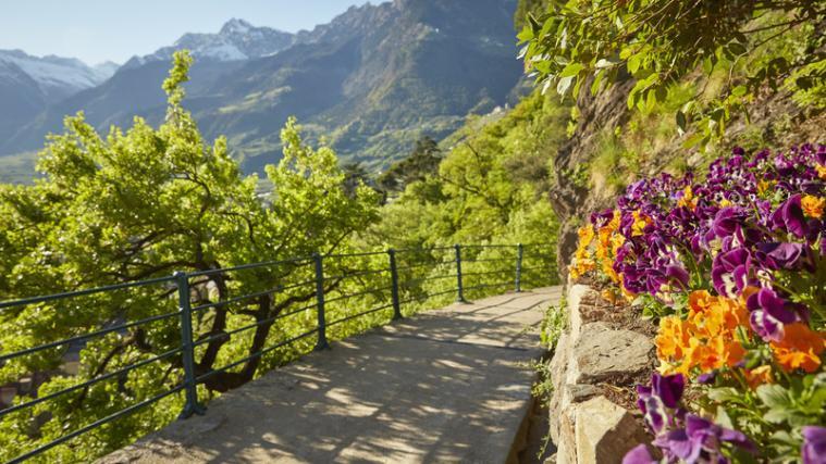 Die verlängerte Quarantänepflicht hat den Frühlingsurlaub empfindlich gestört: Bis wieder Touristen über den Tappeinerweg (im Bild) flanieren, wird es wohl noch eine Weile dauern.