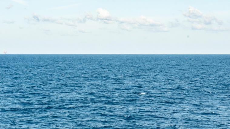Im vergangenen Jahr starben nach offiziellen Angaben 1200 Menschen beim Versuch, über das Mittelmeer nach Europa zu gelangen.