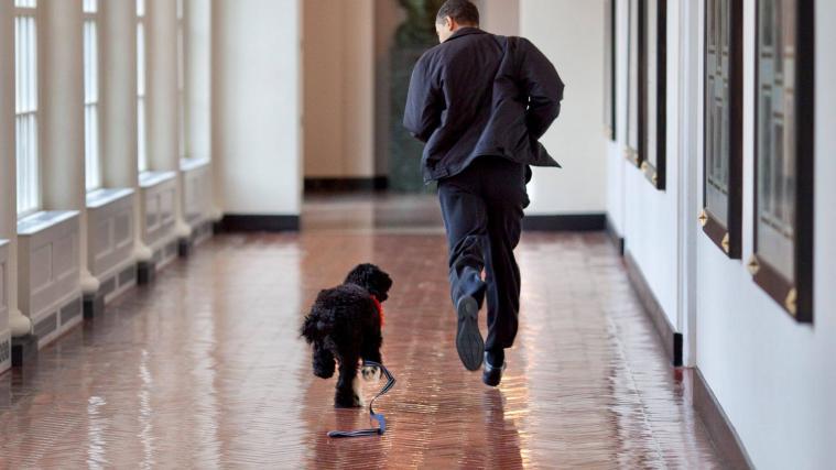 Die Obamas haben mit Bo einen „wahren Freund und loyalen Begleiter“ verloren.