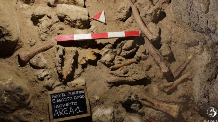 Überreste von neun Neandertalern entdeckt.