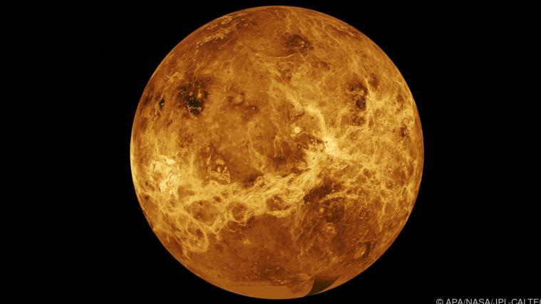 Die Venus auf einem NASA-Handout.
