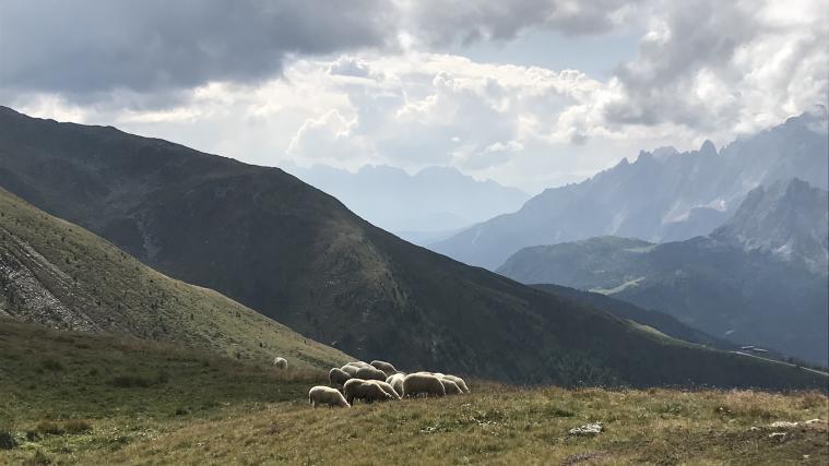 In diesem Gebiet am Hochgruben im Karnischen Kamm ist die Skiverbindung Sexten–Sillian geplant.