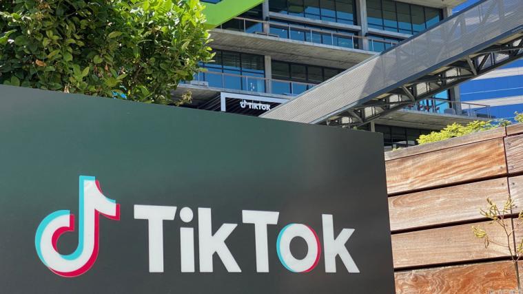 TikTok immer stärker in der Kritik.