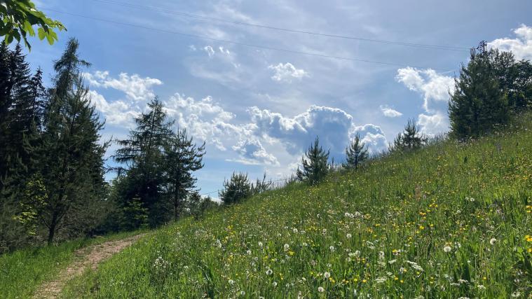 Viel Sonnenschein, hohe Temperaturen und nur immer wieder mal ein paar Wolken: So sieht das Wetter in den kommenden Tagen aus.