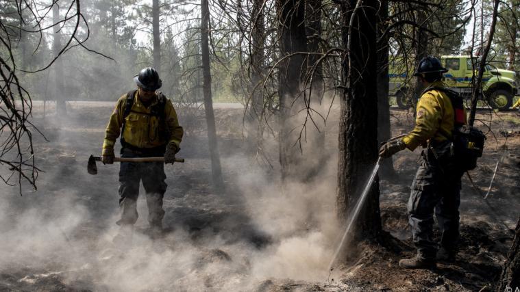 Auch in den USA wüten seit Tagen Großfeuer.