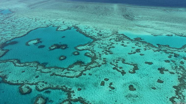 Beschädigt, aber laut UNESCO nicht bedroht: Das Great Barrier Reef.