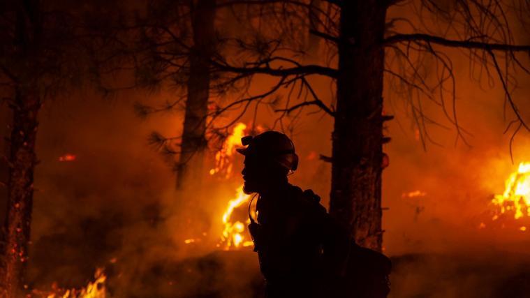 Durch den riesigen Waldbrand im US-Staat Oregon sind bis zum gestrigen Montag mehr als 137.000 Hektar Wald zerstört worden.
