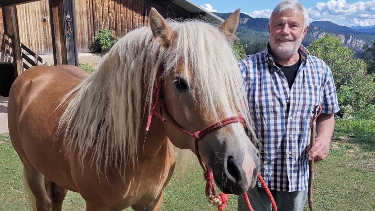 Erich Messner mit seinem Haflinger-Hengst Bingo.