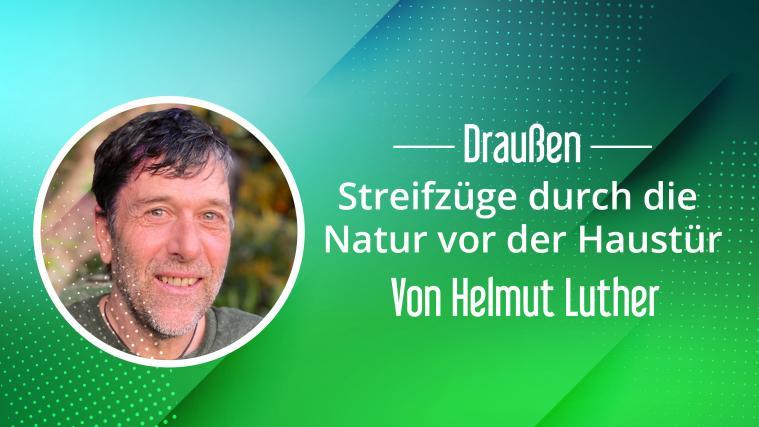 Helmut Luther lädt zur Begegnung mit der Natur.