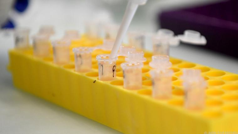 Österreich bei Tests mit Zypern an der Spitze.