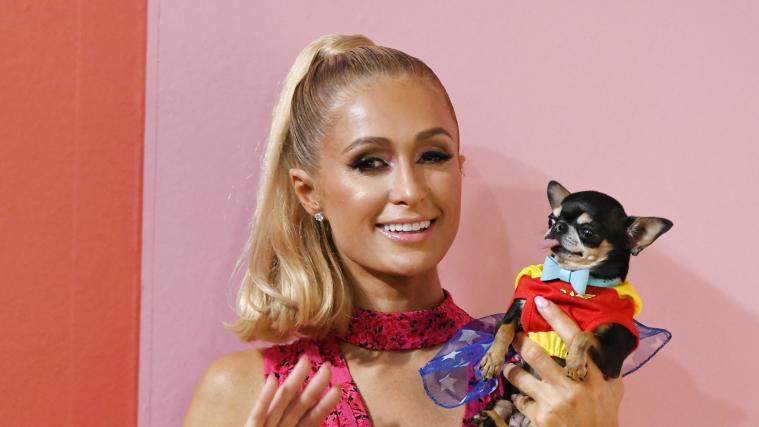 Paris Hilton Bekommt Kochshow Bei Netflix