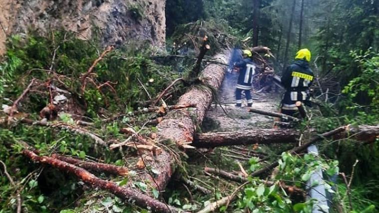 Unter anderem aufgrund umgestürzter Bäume mussten mehrere Wehren in ganz Südtirol ausrücken.