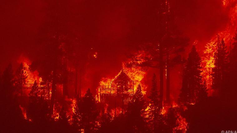 Das Feuer brennt seit Mitte August.
