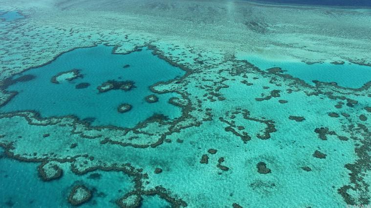 Das Great Barrier Riff dehnt sich über 340.000 Quadratkilometer aus.