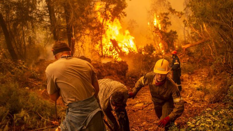 Der Mittelmeerraum wird von verheerenden Waldbränden heimgesucht.