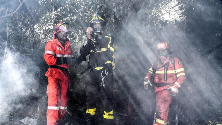 Waldbrände auf Sizilien und Sardinien hielten zahlreiche Einsatzkräfte auf Trab.