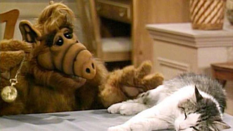 Szene aus Alf: Hauskater Lucky würde Alf am liebsten verspeisen.