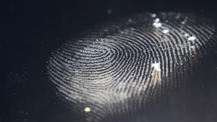 Die Polizei untersucht nun Fingerabdrücke und andere Spuren.