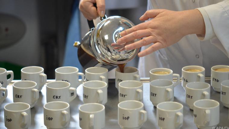 Vorbereitung für professionelle Kaffeeverkostung in Frankreich.