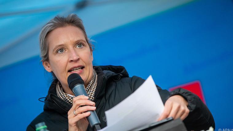 Alice Weidel erwartet sich Know how aus Österreich.