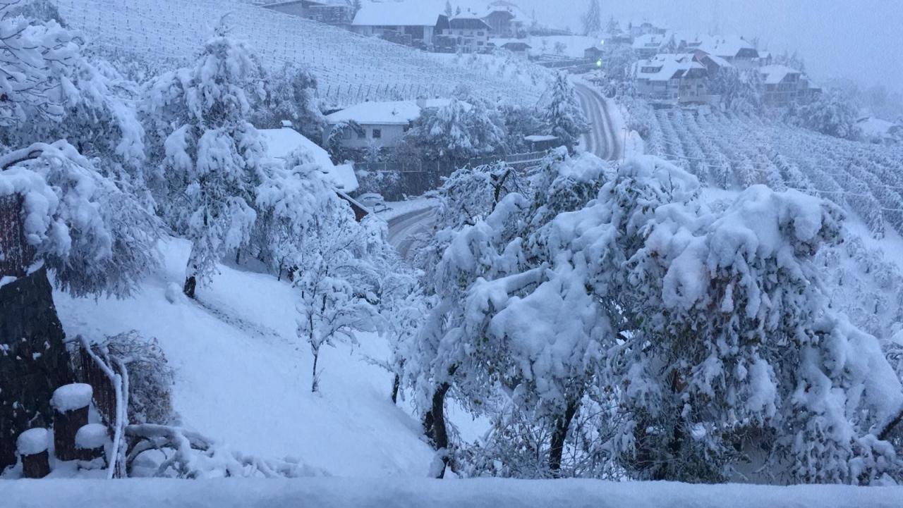 ein-winterliches-erwachen-gab-es-am-mitt